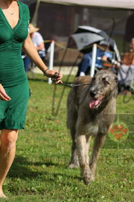 42099795_10155561656946021_6269099685907005440_n