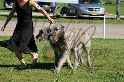 42117032_10155562094021021_1901281511114539008_n