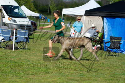 42119608_10155561836936021_3559102277069307904_n