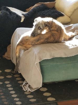 70857279_10219529063684617_6785381263424356352_o