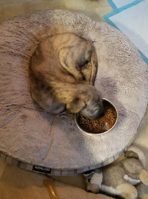 75282396_10219479498005506_2855948927360827392_o