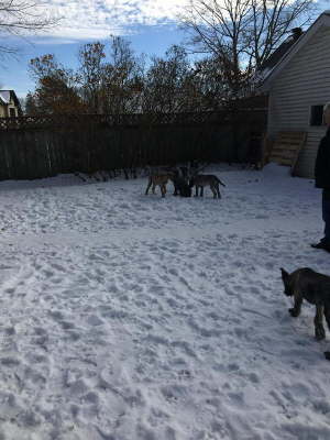 75573786_10219477384872679_7931602241092321280_n