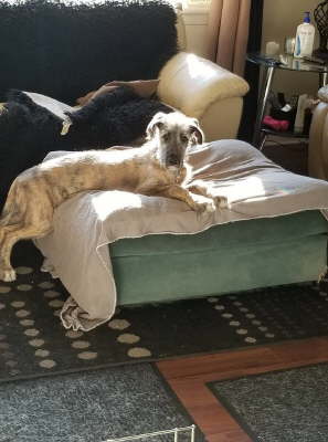 77131640_10219529053564364_5922537954454011904_o