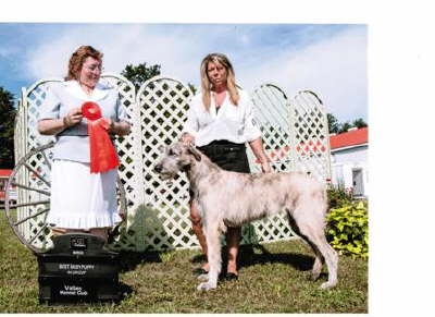 BBPIGLombardyJuly22'13S