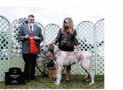 BBPIGLombardyJuly24'13S