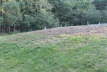 Can you see me