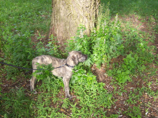 Can you see me Jun 19'10