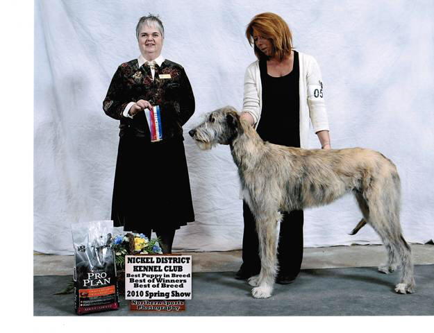 Coniston2010Show#1_BOB