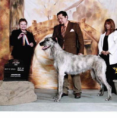 HeeraBIBBWArnprior2011resizedL