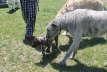 Heera checking me out