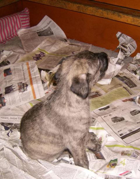 Heera singing June 5'10