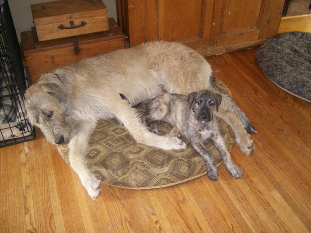 Hey share will you Jun 10