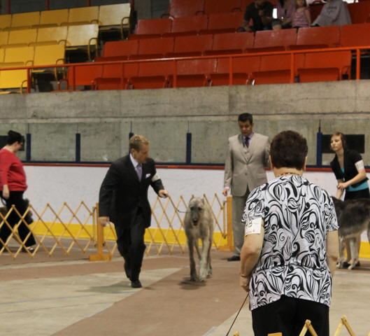 Hochelaga May 2011-10