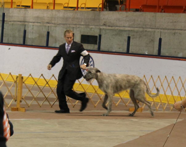 Hochelaga May 2011-11