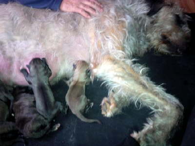 IMG_20160328_115731S