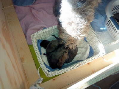 IMG_20160329_160421S