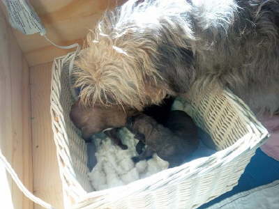 IMG_20160329_160639S