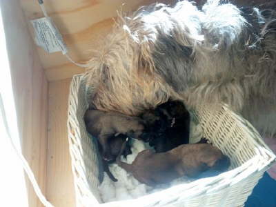 IMG_20160329_160646S