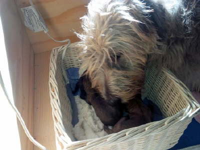 IMG_20160329_160649S