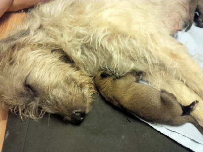 IMG_20160407_060048S