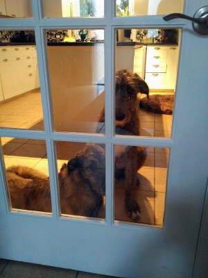 IMG_20160813_1637586 - Copy