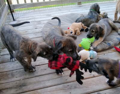 IMG_20191020_152930779-1