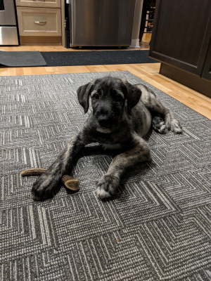 IMG_20191103_2041152