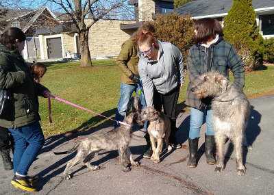 IMG_20191124_111237984-1