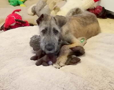 IMG_20191201_080657878-1