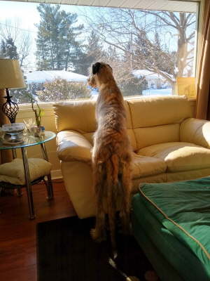 IMG_20200209_113403779_HDR