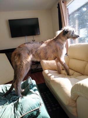 IMG_20200209_115509860