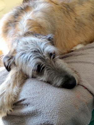 IMG_20200217_115719729