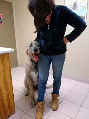 IMG_20200314_111937672