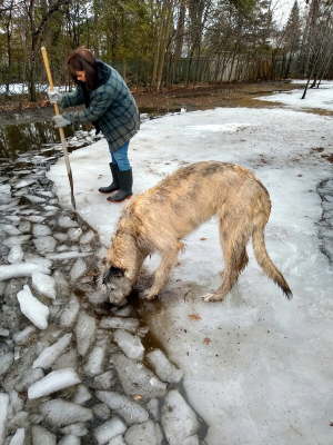 IMG_20200326_105948785_HDR