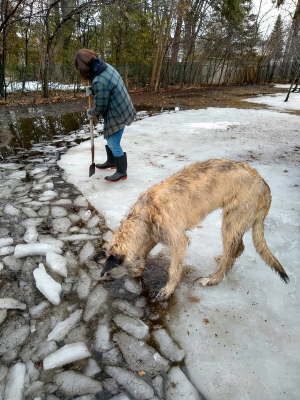 IMG_20200326_110000274_HDR