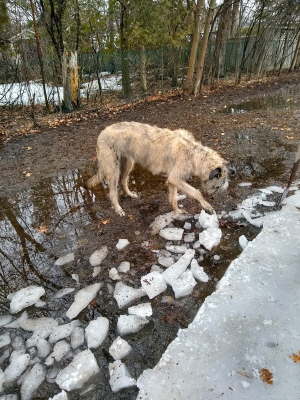 IMG_20200326_110258602_HDR