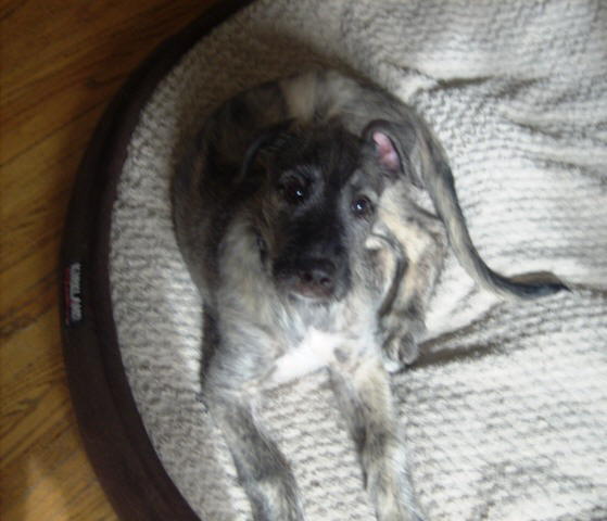 Innocent Me July 2010