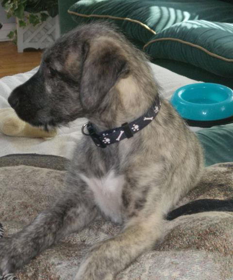 Jun 19'10 Someone calling me