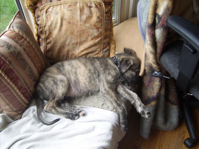 Jun 19'10 While Mommy works