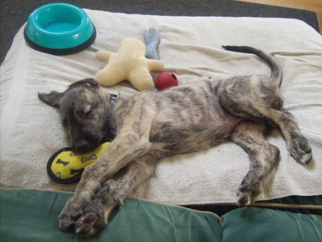 Jun 20'10 Check out those thighs