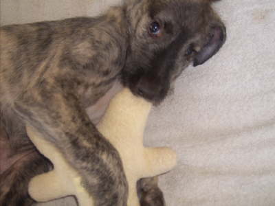 Jun 20'10 You talking to me