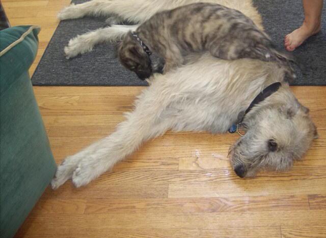 Jun 21'10 Attacking Briggs