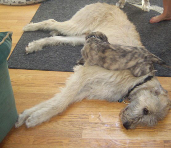 Jun 21'10 He's such a tolerant guy