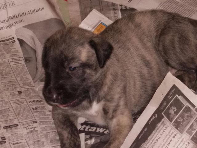 May 26'10 Heera Contented