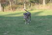 Me & my ball