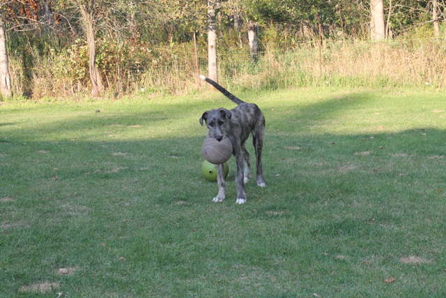 Me & my ball