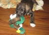 Me and Duckie