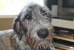 My Close-Up