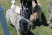 My new pack
