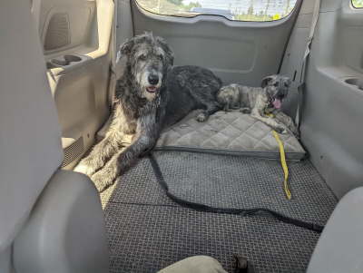 PXL_20230601_183316939